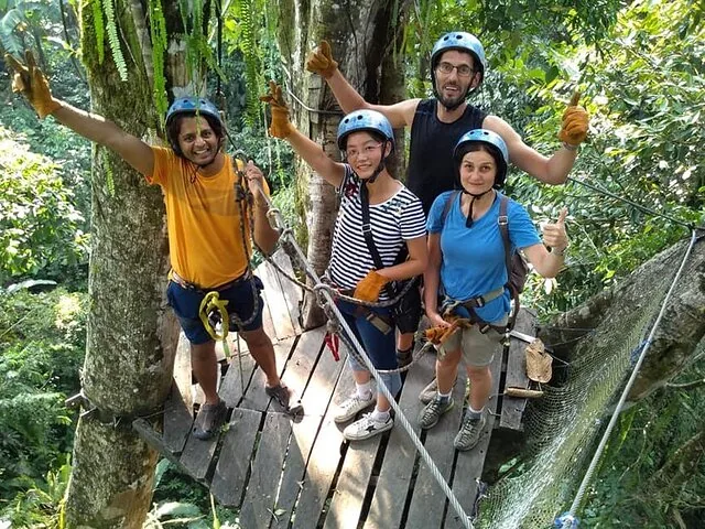 Four tourists wearing helmets and harnesses smiling on a canopy walkway platform.